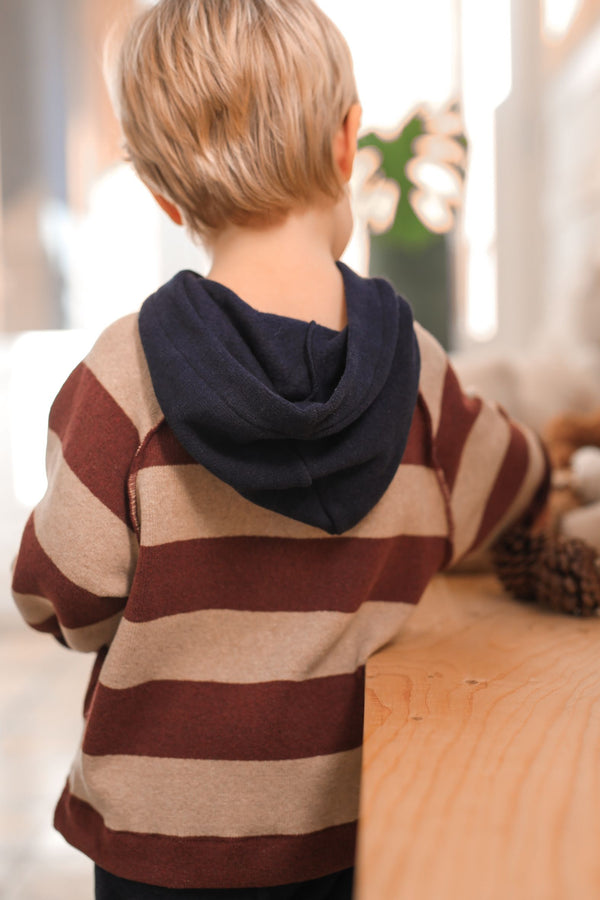 JAKOB SOFT WIDE STRIPE FLEECE hooded sweater - melanzana