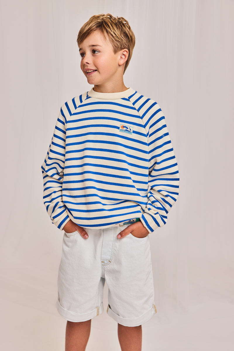 brad sweater stripe 000707 - bright blue
