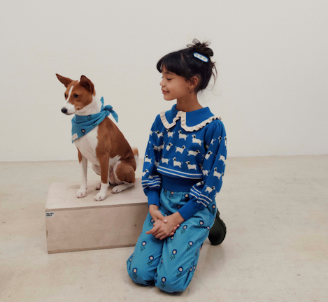DOG PULLOVER AC123 - ROYAL
