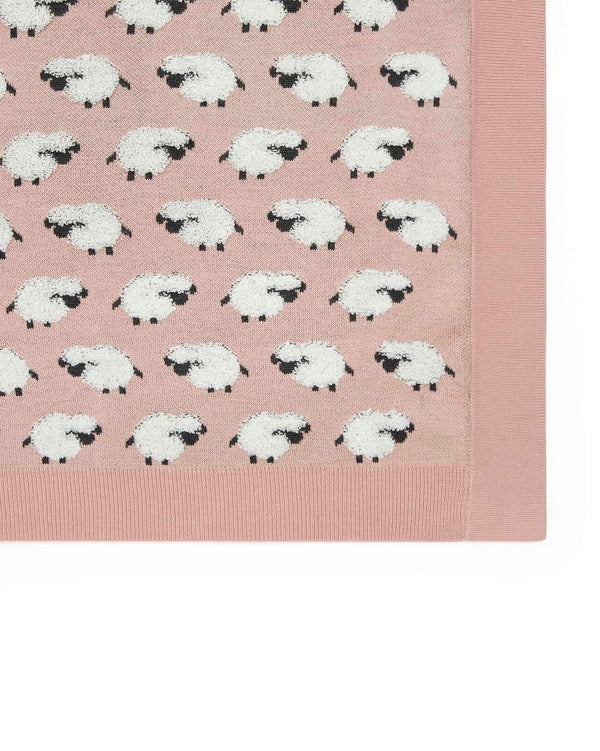 BLANKET SHEEPS BB - ROSE BONTON