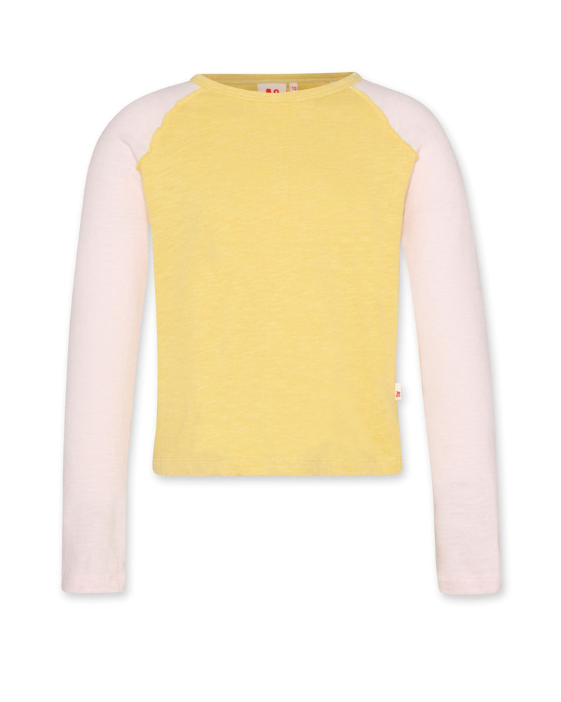 amvi t-shirt AO - ginger