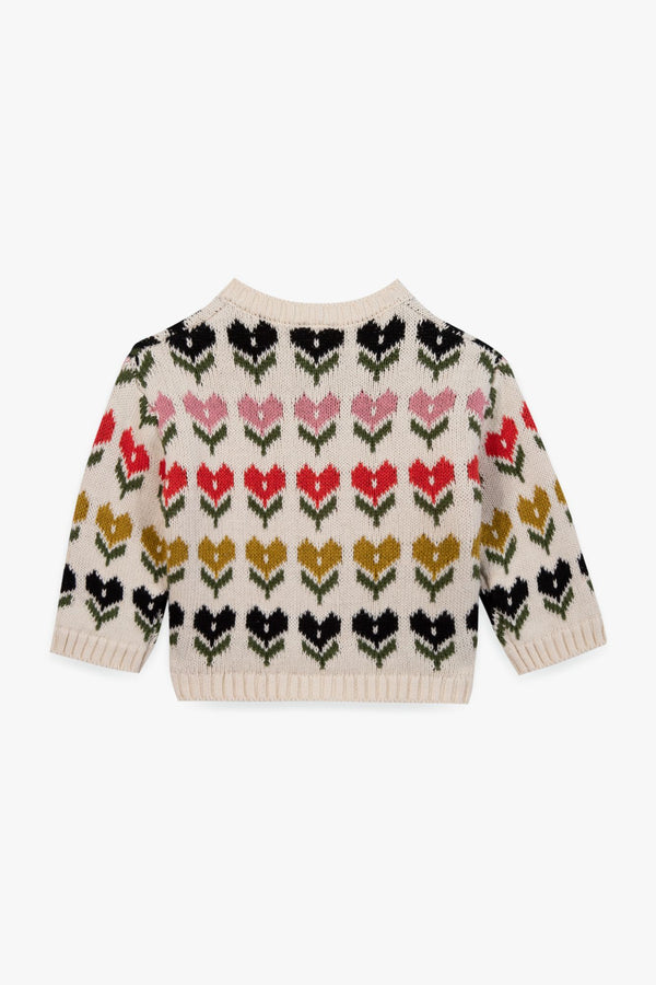 CARDI MALIGNE BB - MOUTON BB18121