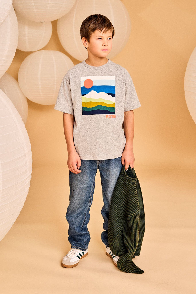 silas t-shirt landscape - 000901 - oxford