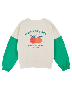 FLEECE SWEATSHIRT AC025 - WASABI