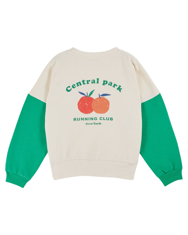 FLEECE SWEATSHIRT AC025 - WASABI
